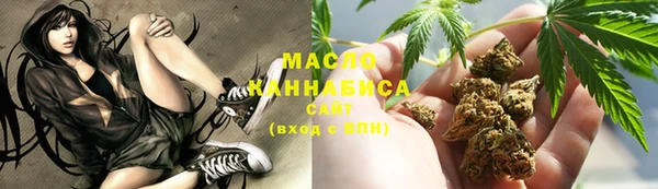 гидра Вяземский
