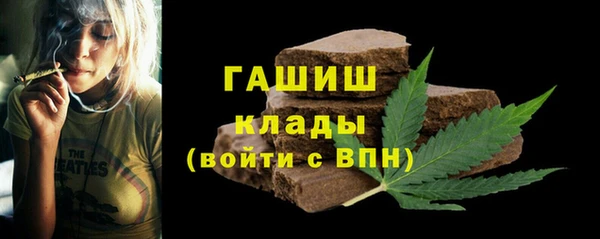 гидра Вяземский
