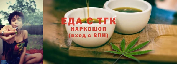 гидра Вяземский