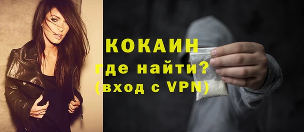 гидра Вяземский