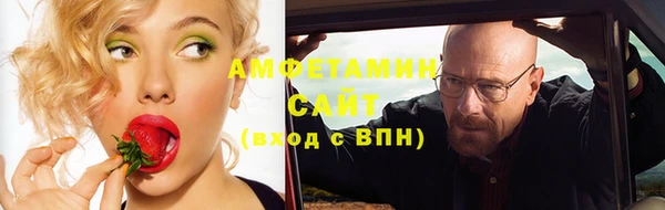 гидра Вяземский