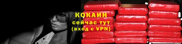 гидра Вяземский