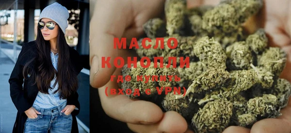 гидра Вяземский